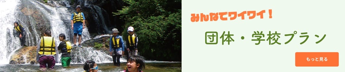 団体・学校プラン