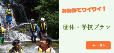 団体・学校プラン